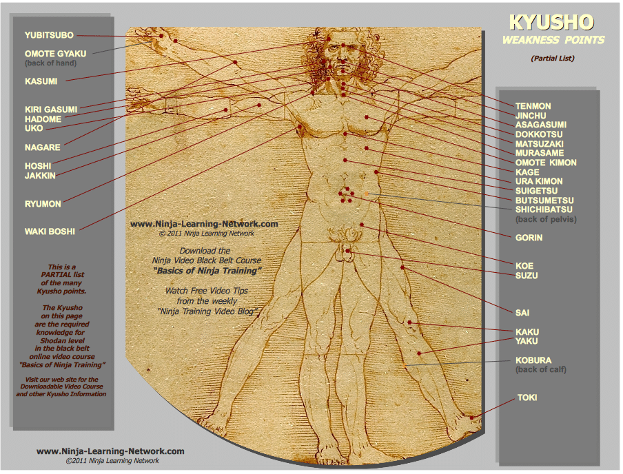 Kyusho Pain Weakness Points Chart - Partial List for First Degree Black Belt Course